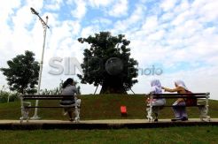 Pohon Eksotis Asal Afrika di Waduk Ria Rio