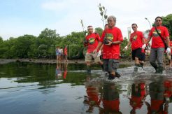 Lanjutkan Program 100 Juta Pohon, Pertamina Tanam Mangrove di Pantai Bali