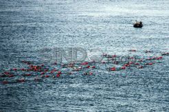 300 Prajurit Marinir Berenang Melintasi Perairan Barelang