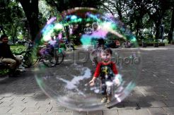 Pemprov DKI Jakarta Akan Membuat 29 Taman Baru