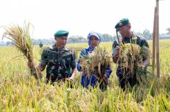 Panen Raya Dukung Ketahanan Pangan