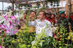Mendes Tinjau Desa Agro Wisata Anggrek