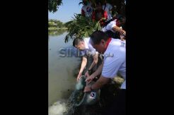 HT Tebar Ribuan Benih Ikan di Kalimas Surabaya