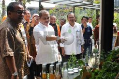 Mendes dan Plt Gub Banten Buka Festival Kopi Tanah Air di BSD