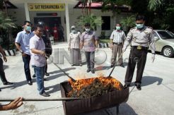Polresta Barelang Musnahkan Barang Bukti Narkoba