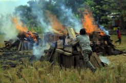 Pemusnahan Barang Bukti Ilegal Logging