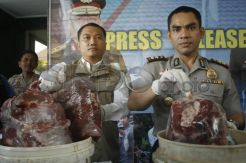 Polisi Amankan Puluhan Kilogram Daging Babi Hutan