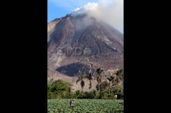Aktivitas Sinabung Masih Tinggi