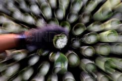 Mengintip Proses Pembuatan Lemang Bambu