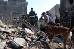 Polisi Gunakan Anjing Pelacak Cari Korban Hercules