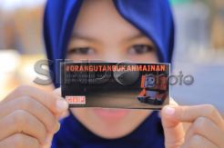 Orangutan Bukan Mainan