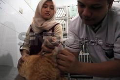 Penitipan Hewan Penuh Jelang Lebaran