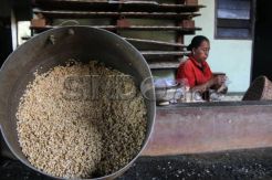 Pabrik Tempe di Semarang Terimbas Dollar