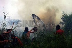 Kebakaran Lahan Ancam Permukiman Warga