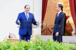 Kunjungan Kenegaraan Presiden Mesir