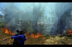 Kebakaran Lahan Landa Manado