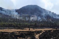 Kebakaran Gunung Papandayan Terus Meluas