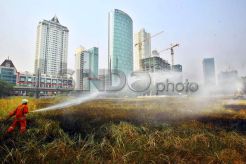 Lahan Kosong di Mega Kuningan Terbakar