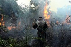 Kebakaran Lahan Semakin Menyebar di Sumsel