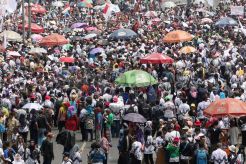 Ribuan Guru Honorer Demo di Depan Gedung DPR