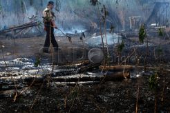 Polisi Lakukan Penyelidikan Kebakaran Lahan