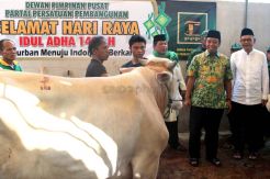 PPP Muktamar Surabaya Salurkan Puluhan Hewan Kurban
