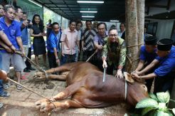 Zulkifli Hasan Potong Hewan Kurban