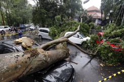 Hujan Deras di Bandung Akibatkan Banjir dan Pohon Tumbang