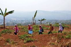Mengenal Alam Sejak Dini
