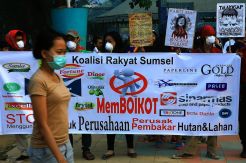 Boikot Produk Perusak dan Pembakar Hutan