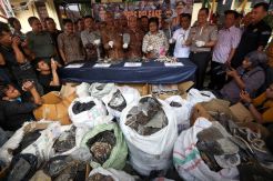 Polisi Gagalkan Perdagangan Satwa Dilindungi