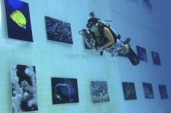 Sensasi Pameran Foto Dalam Air
