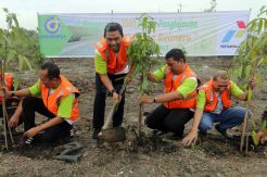 Pertagas dan Jasamarga Hijaukan Jalur Tol Belmera