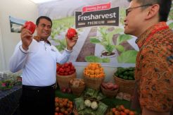 Bulan Mutu Pertanian 2015