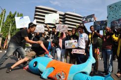 #SaveShark, Aktivis Tentang Eksploitasi Hiu