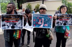 Setahun Tragedi Paniai Berdarah