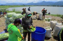 Petani di Kabupaten Bandung Keluhkan Turunnya Harga Timun