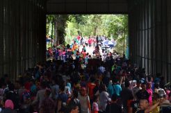 Puluhan Ribu Warga Padati Taman Margasatwa Ragunan