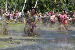 Lomba Menangkap Bebek dalam Festival Air 2016