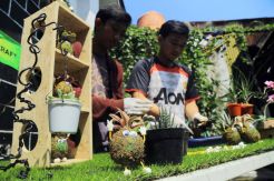 Kokedama, Seni Merangkai Tanaman Indah dan Unik