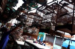 Pasar Burung Pramuka Akan Direlokasi
