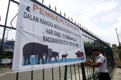 Kebun Binatang Ragunan Tutup Saat Pilkada DKI