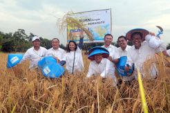 Himbara Bersinergi dengan Bulog Dorong Program Digitalisasi Pertanian