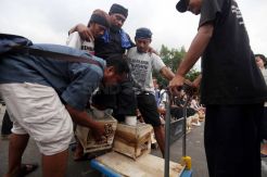Belum Ditemui Jokowi, Peserta Aksi Semen Kaki Bertambah 1 Orang