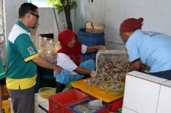 Sepanjang 2016, BSM Salurkan Pembiayaan Mikro Rp4,18 Triliun