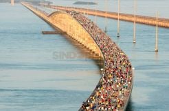 Lomba Lari Melintasi Jembatan Seven Mile di Florida
