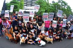 Aksi Stop Aniaya dan Makan Anjing