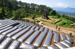 Wisata Akhir Pekan di Candi Gedong Songo