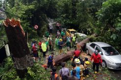 Pohon Tumbang dan Hujan Es Landa Bandung