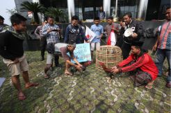 Teatrikal Sabung Ayam KPK Vs Setnov